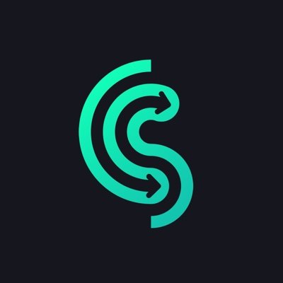 Coinswap Space